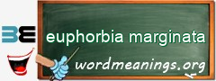 WordMeaning blackboard for euphorbia marginata